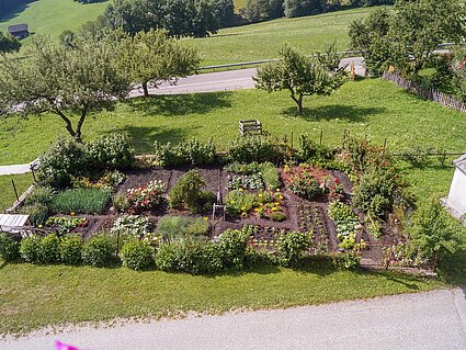 Il nostro giardino con verdure fresche, bacche ed erbe aromatiche